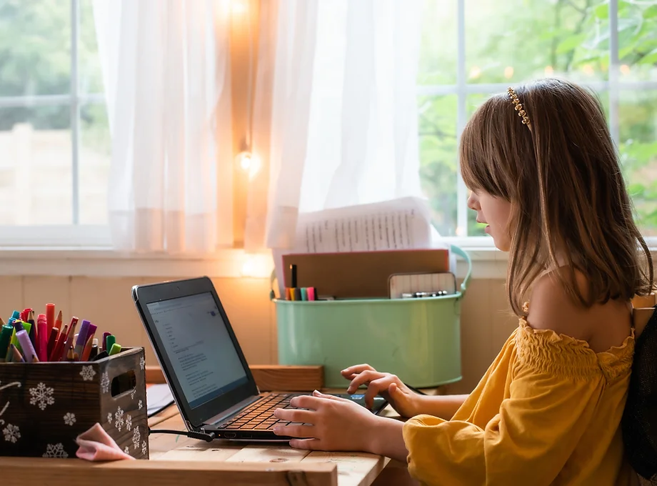 Online Terapi Nedir?